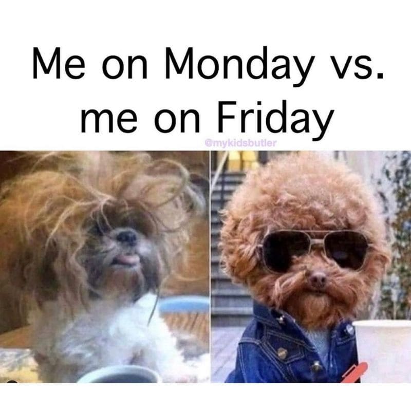 me on monday vs me on friday funny meme