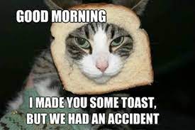 good morning meme i made you some toast but we had an accident