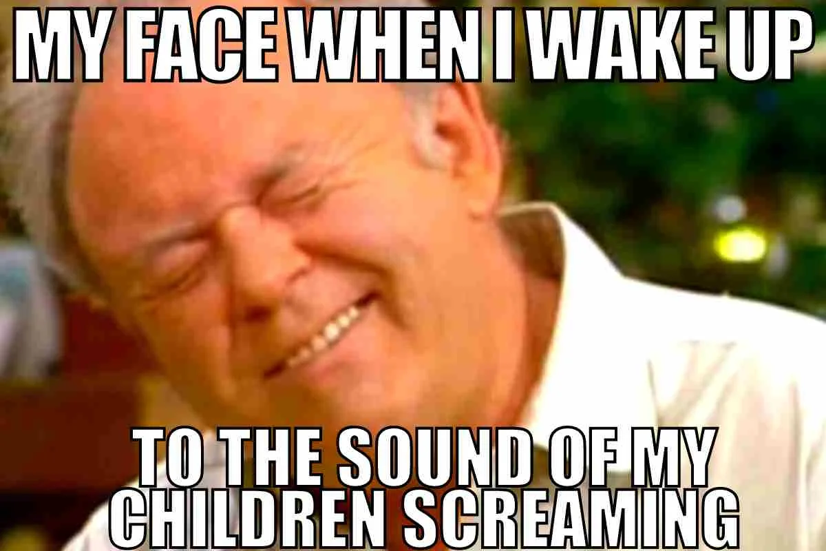 my face when i wake up to the sound of my children screaming meme