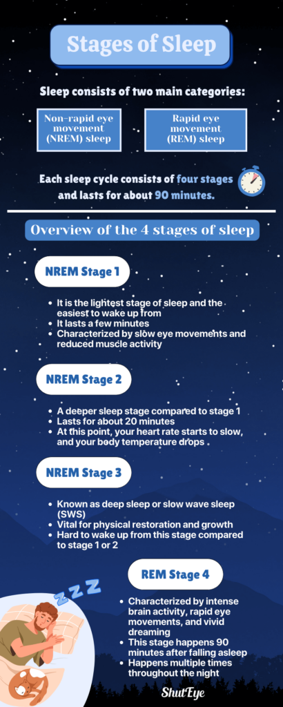 stages of sleep