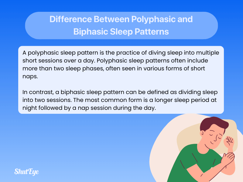 Illustration showing the differences between polyphasic and biphasic sleep patterns with labeled sleep cycles shuteye app