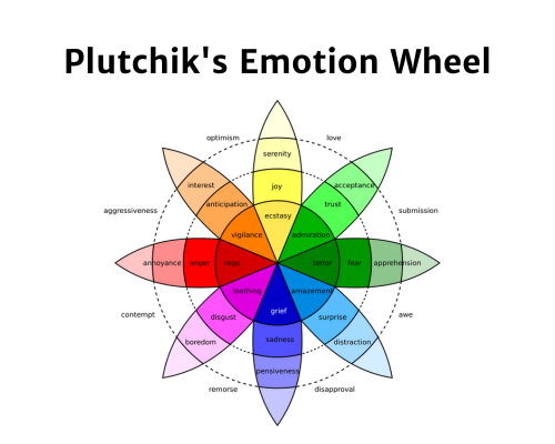 plutchik's emotion wheel
feeling wheel