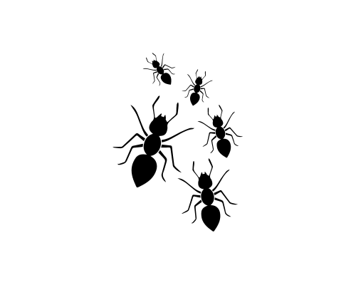 ants dream symbol