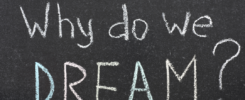 Why do we dream
