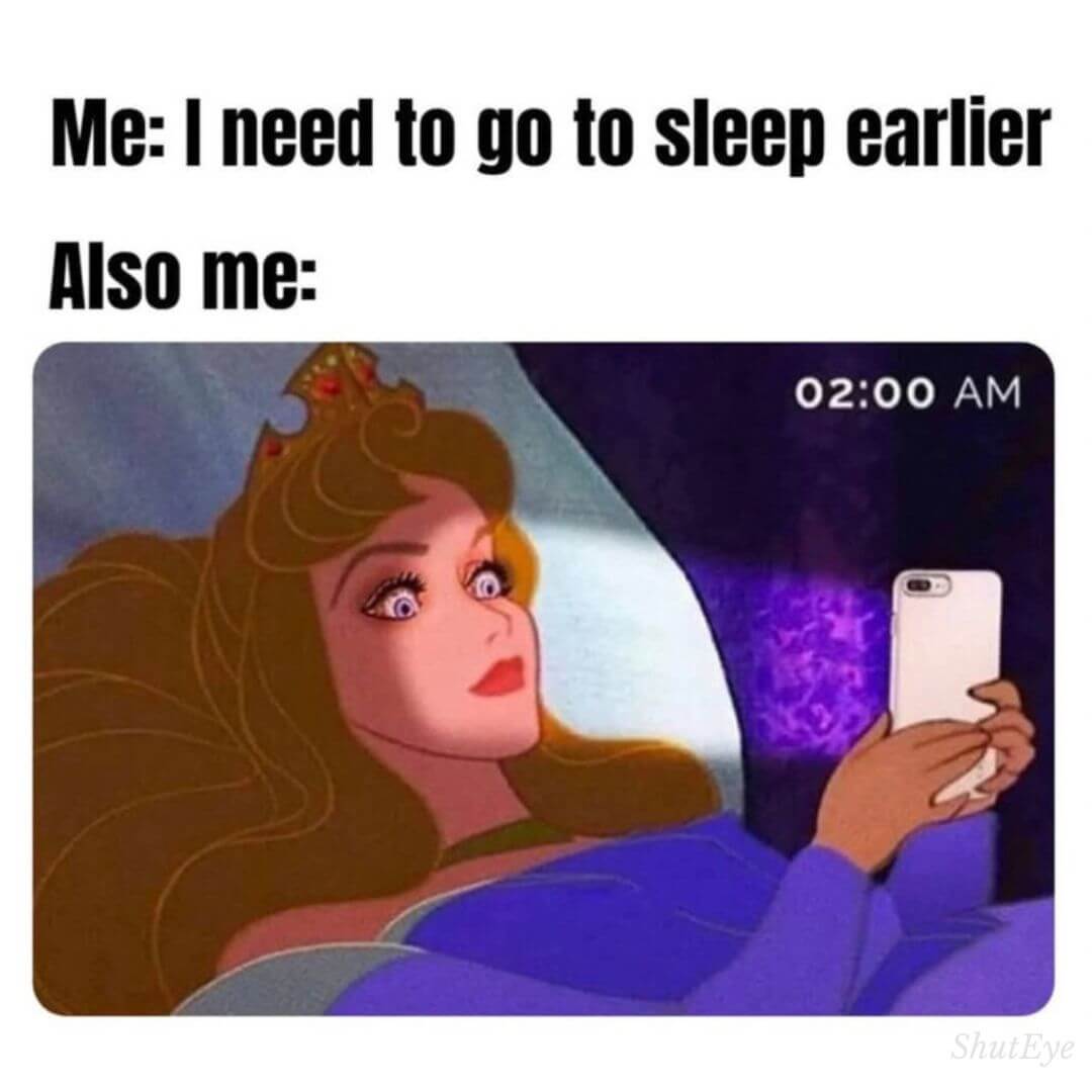 20 Best Go To Sleep Memes To Read At Midnight