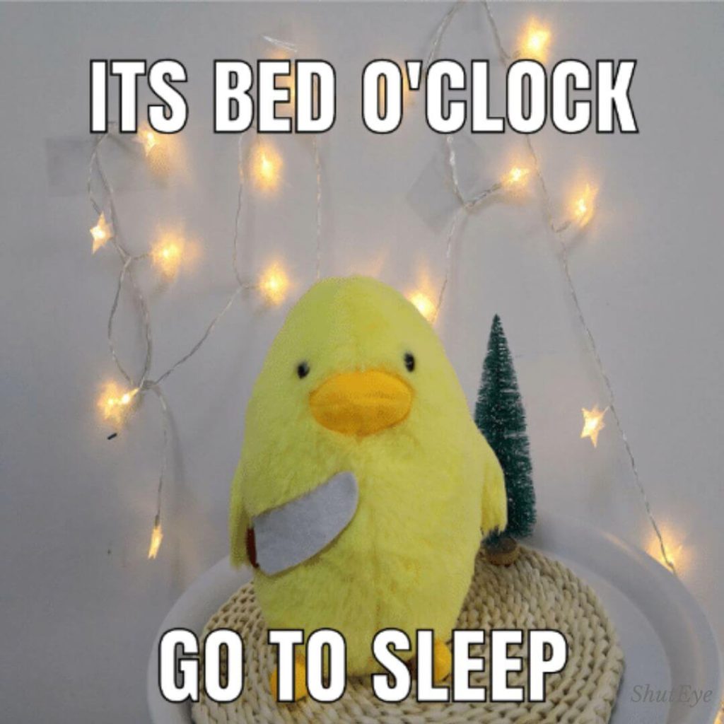 it's bed o clock go to sleep