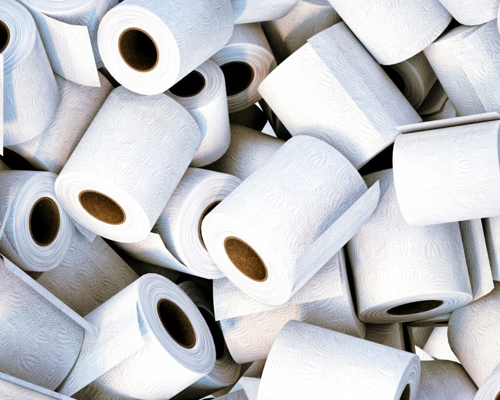 lots of toilet tissue