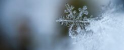 Symbolic Meaning of Snow Dreams | Dream Interpretation Guide