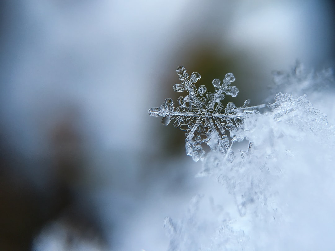 Symbolic Meaning of Snow Dreams | Dream Interpretation Guide