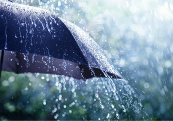 Dreaming About Rain: What Does It Mean And How To Interpret?