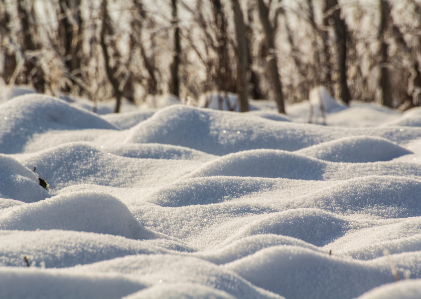 snow on ground
dream about snow