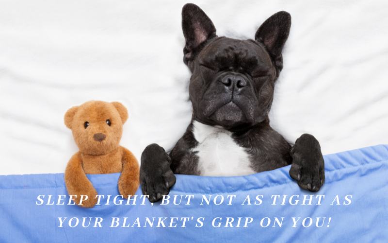 sleep tight but not as tight as your blanket's grip on you - gunny good night message