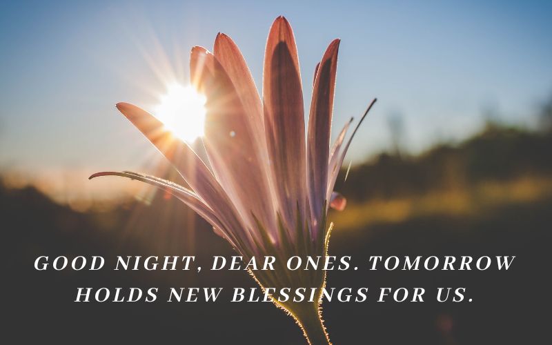 good night, dear ones. tomorrow holds new blessings for us. 