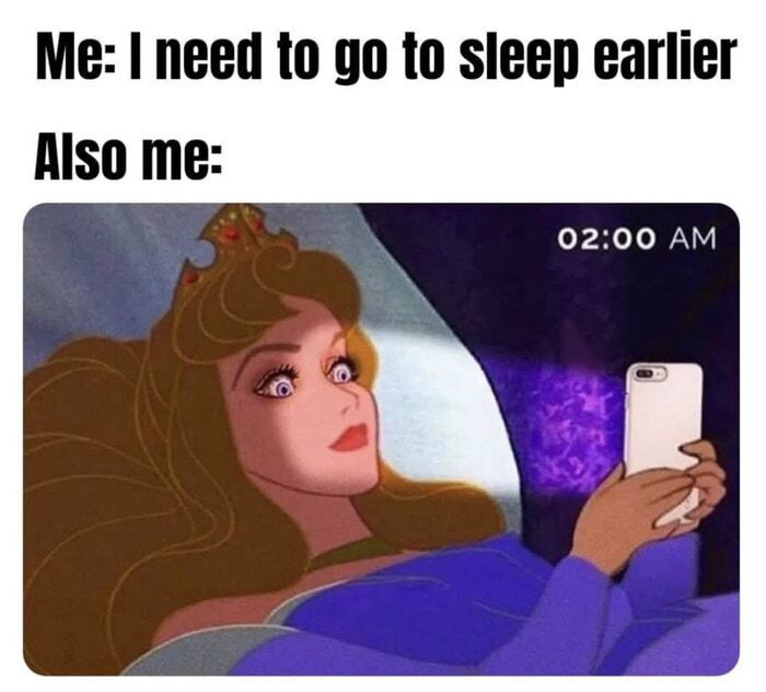 Hilarious Sleeping Memes sleeping beauty