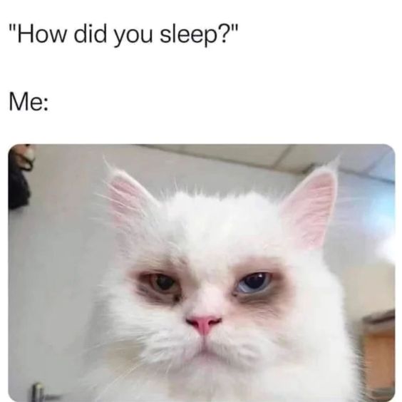 how did you sleep sleeping meme