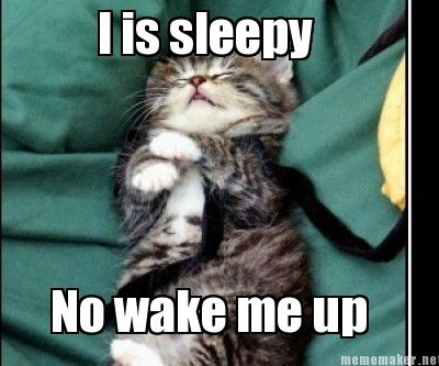 i is sleepy funny sleep memes