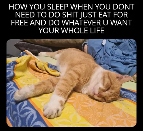 how you sleep when you don't need to do shit sleeping meme