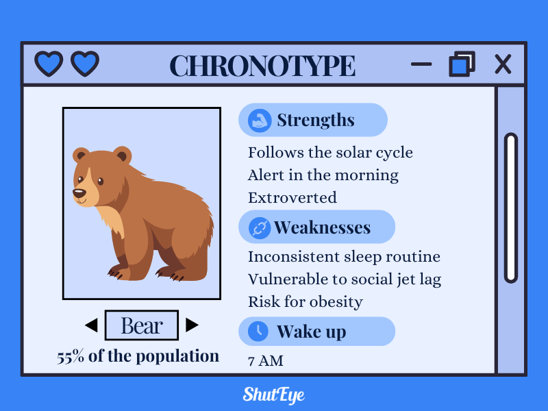 bear chronotype shuteye