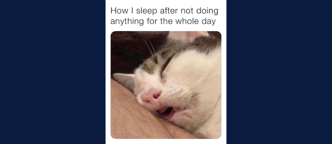 40+ Best Sleeping Meme To Laugh At