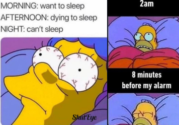 40+ Witty Cant Sleep Memes For Insomniacs