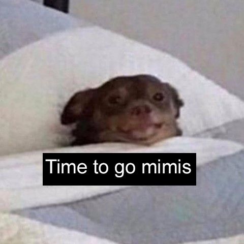 time to go mimis