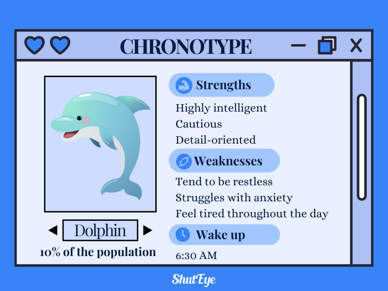 dolphin chronotype shuteye