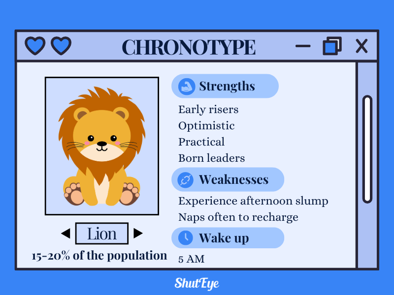 lion chronotype shuteye