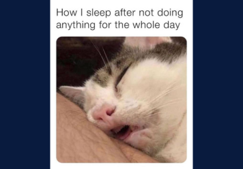 40+ Best Sleeping Meme To Laugh At