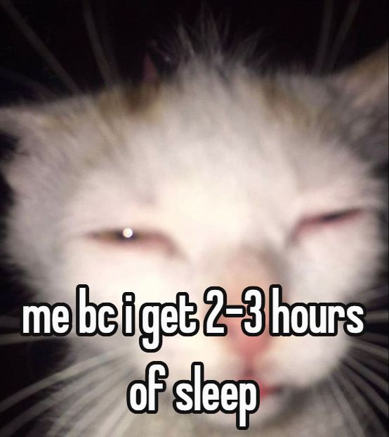 2-3 hours of sleep meme