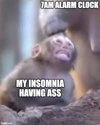 insomnia meme moments