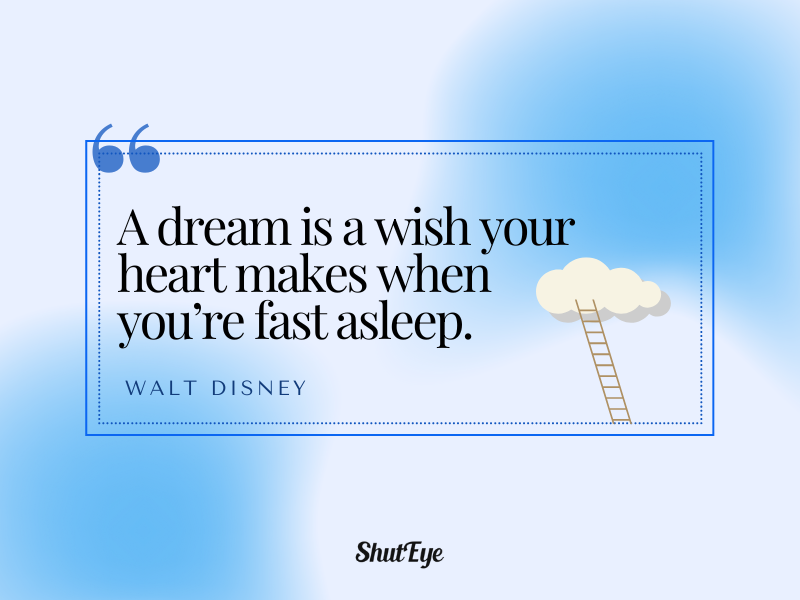 a dream is a wish your heart makes
cant sleep quotes