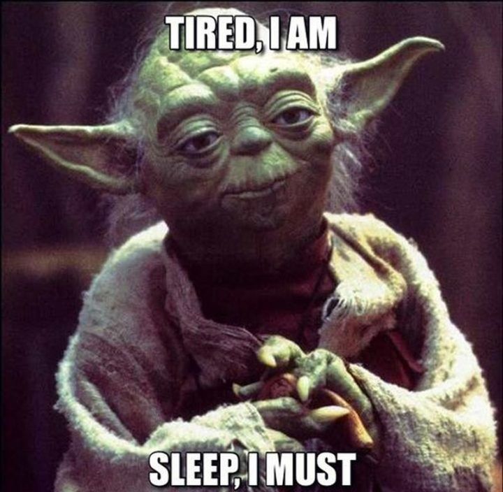 need sleep meme yoda