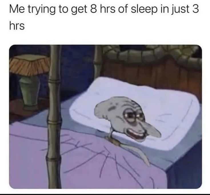 Me trying to get 8 hrs of sleep in just 3 hrs need sleep meme