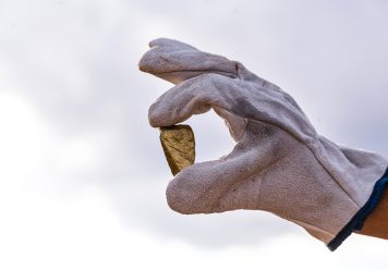 Having a Gold Mining Dream: What It Means and Interpretations