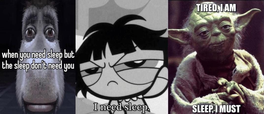 25 Hilarious Need Sleep Memes For The Sleep-Deprived Souls