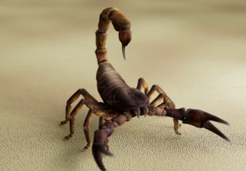 What Does It Mean to Dream About Scorpions?