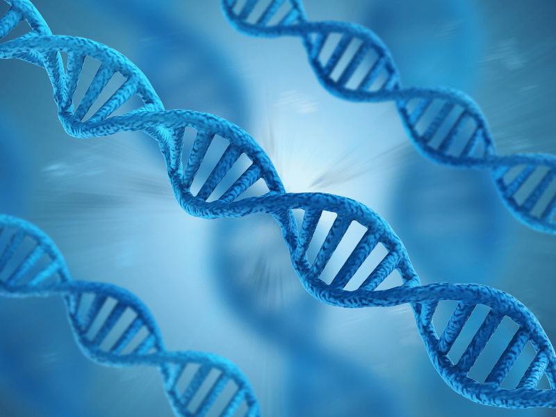 an image of gene structure, representing the prnp gene mutation