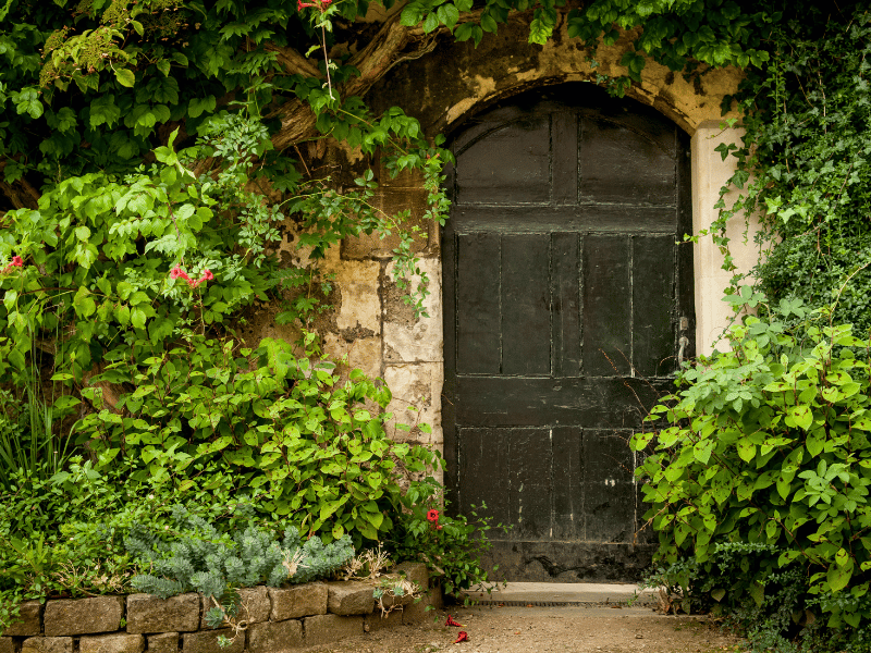 the secret garden bedtime story for adult